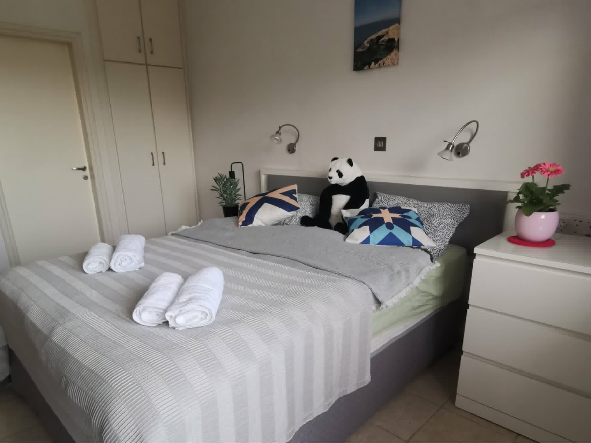 Polyxenia 4 Kép 1